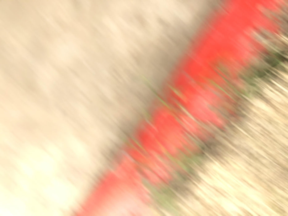 2017 SKYJACK SJ6832 RT