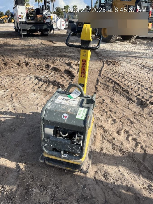 2024 Wacker Neuson DPU5545Heh Vibration Plate DPU 5545Heh US, Diesel,