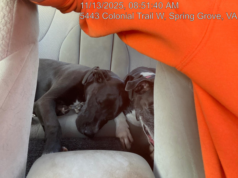 2024 MULTIQUIP GB8LED