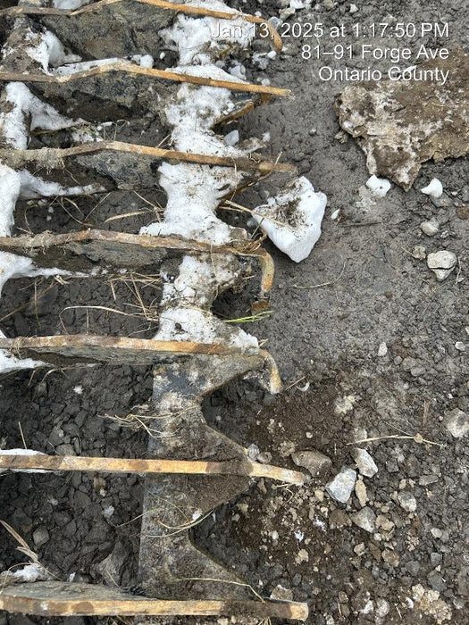 2024 DIESEL EQUIPMENT Skeleton Grapple Bucket, 74" CTL - Diesel Equipment