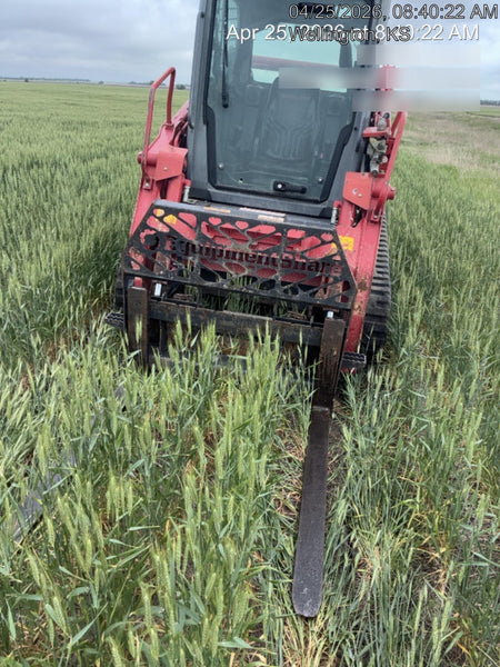 2022 PALADIN 48" Pallet Forks - Paladin