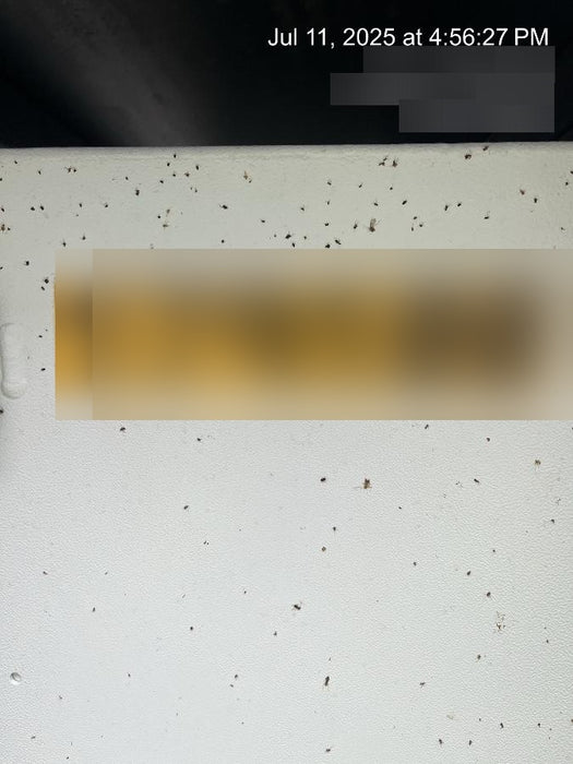 2021 TRYSTAR IL-086-VDE-27MBRP