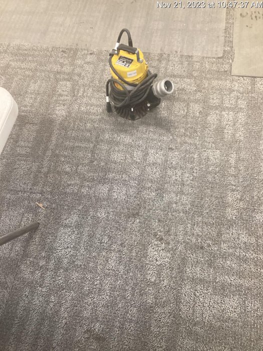 2020 WACKER NEUSON PST2