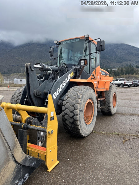 2019 DOOSAN DL250-5