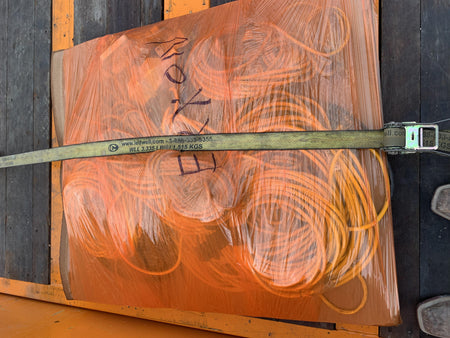 2021 WORKSITE LIGHTING DWXPLEDIL50-12V