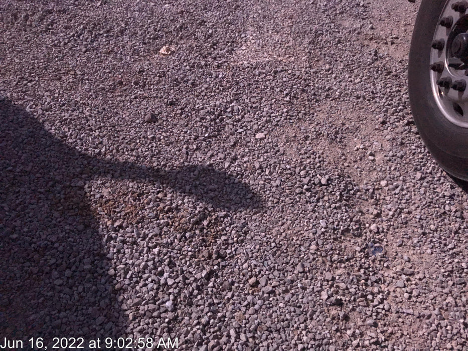 2022 WACKER NEUSON G25