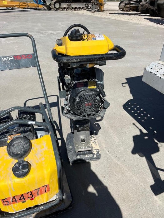 2025 WACKER NEUSON BS62-4Ab/28