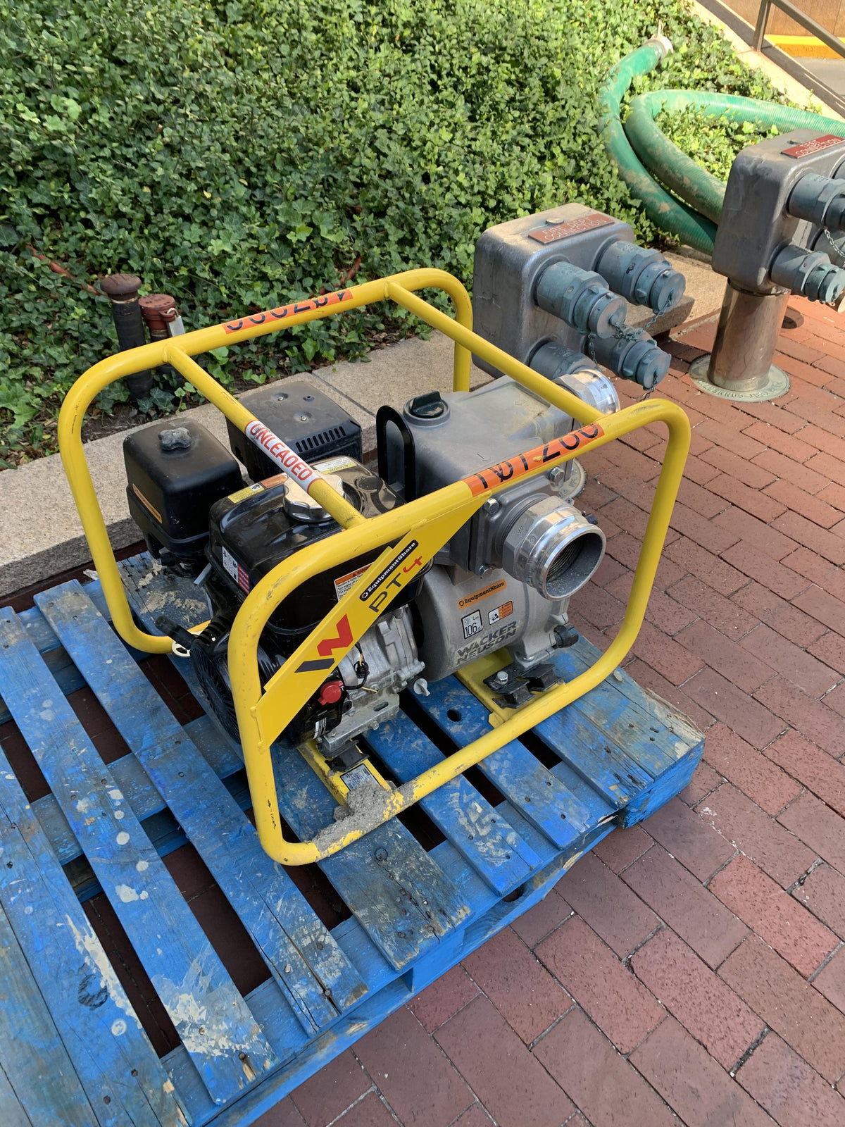 2020 WACKER NEUSON PT4A