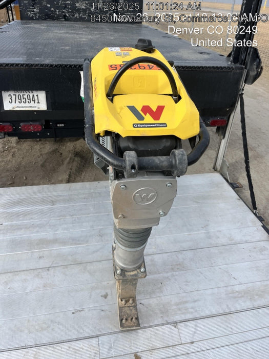 2025 WACKER NEUSON BS62-4Ab/28