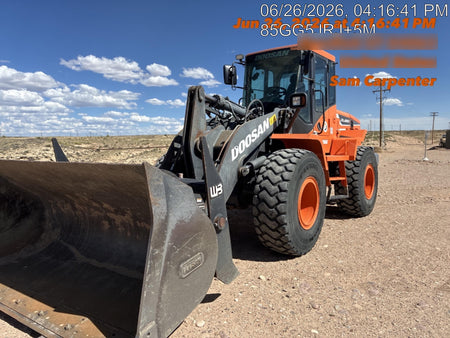 2019 DOOSAN DL250-5
