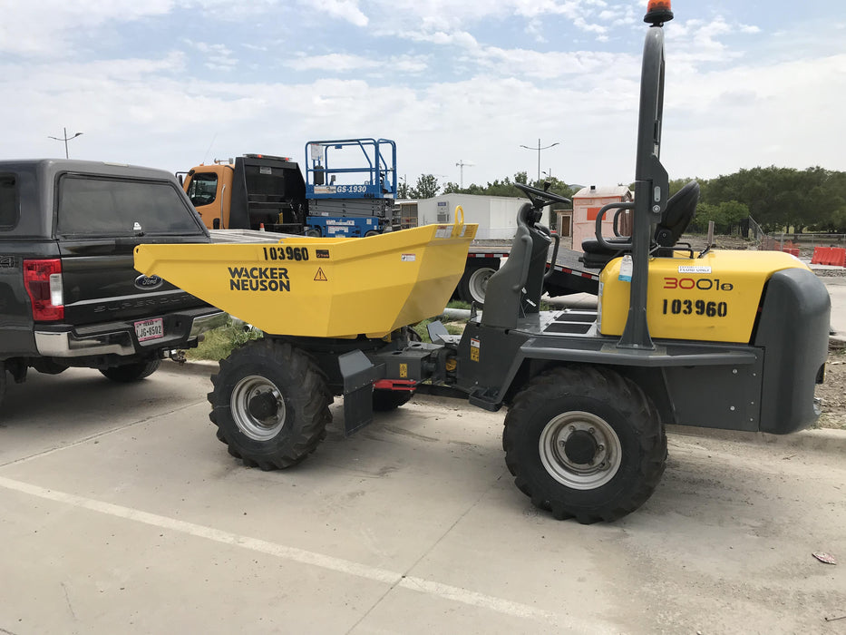2020 WACKER NEUSON 3001