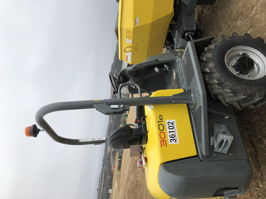 2019 WACKER NEUSON 3001