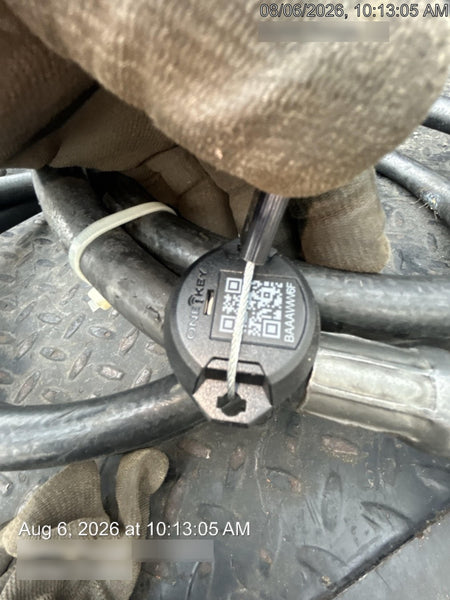 2025 INGERSOLL RAND 3955B2TI