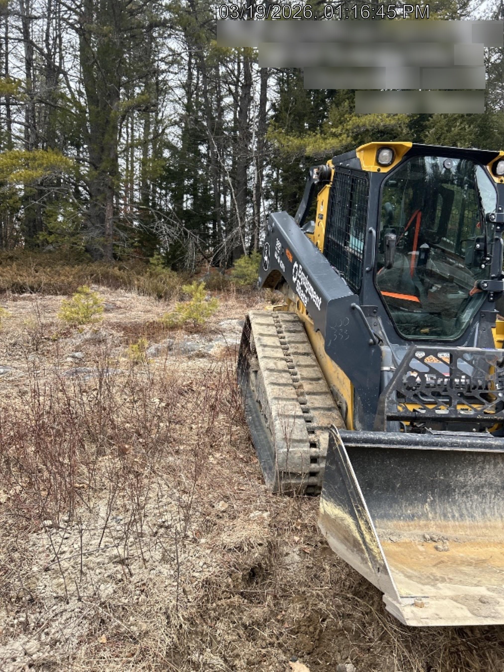 2025 PALADIN 48" Pallet Forks - Paladin