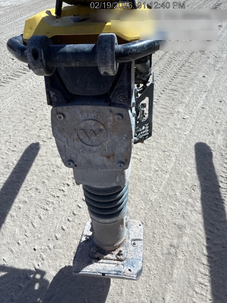 2025 WACKER NEUSON BS62-4Ab/28