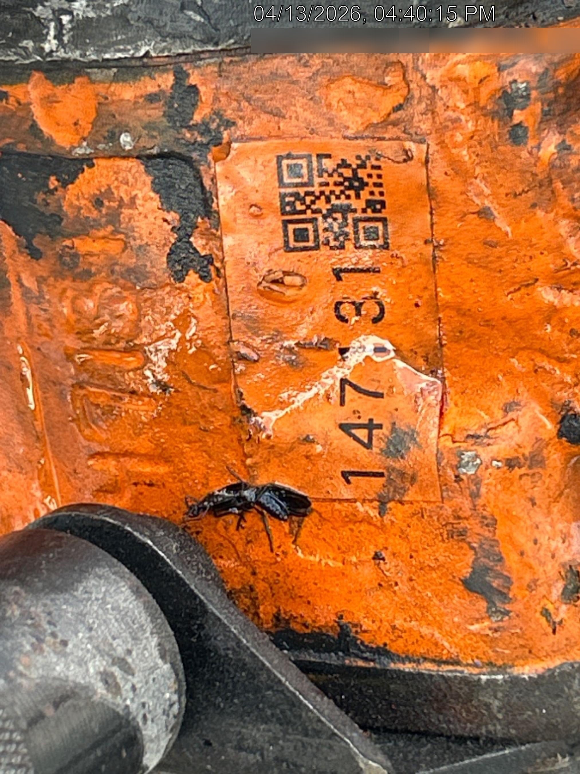 2021 MICHIGAN PNEUMATIC 4940B2