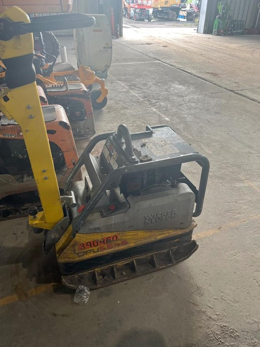 2024 Wacker Neuson DPU5545Heh Vibration Plate DPU 5545Heh US, Diesel,