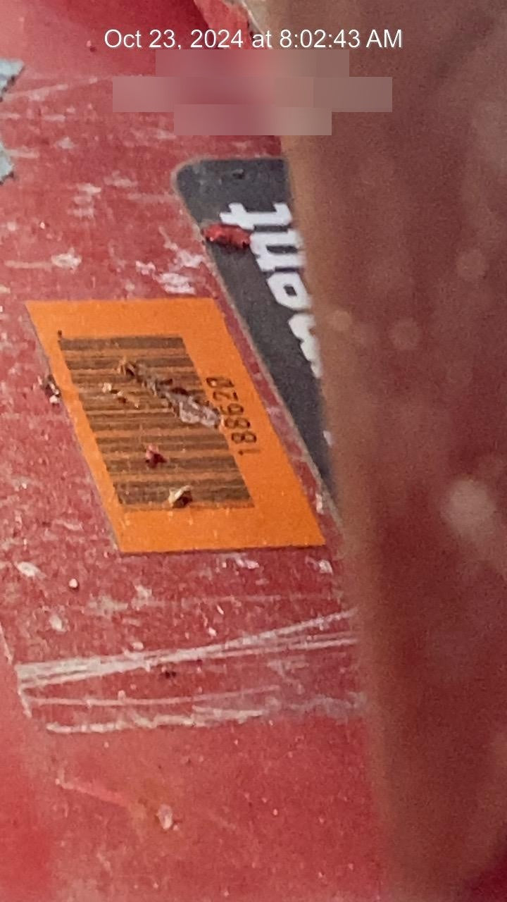 2021 KEY PLANT 1402