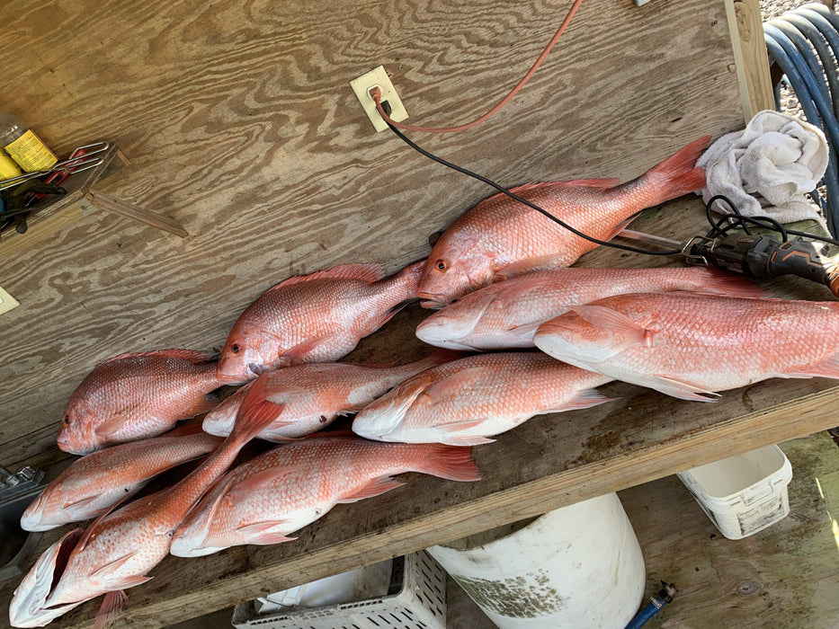 2020 MICHIGAN PNEUMATIC 10267