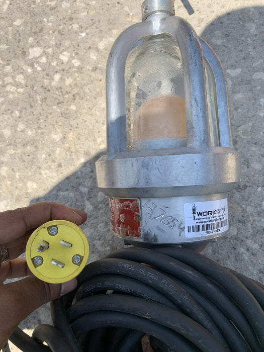 2021 WORKSITE LIGHTING DWXPLEDIL50-12V