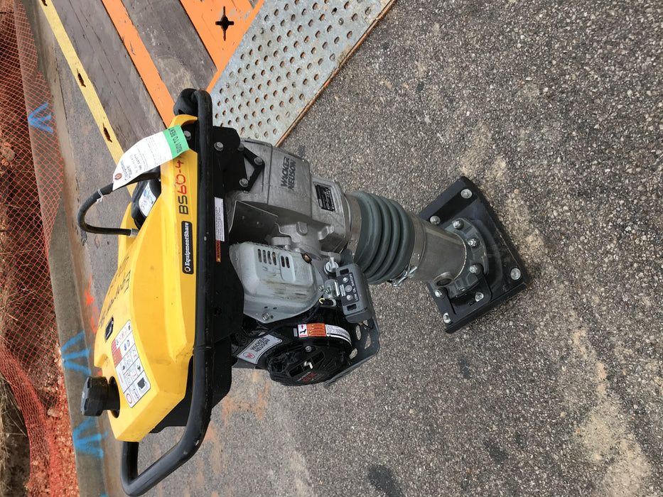 2019 WACKER NEUSON BS60-4As