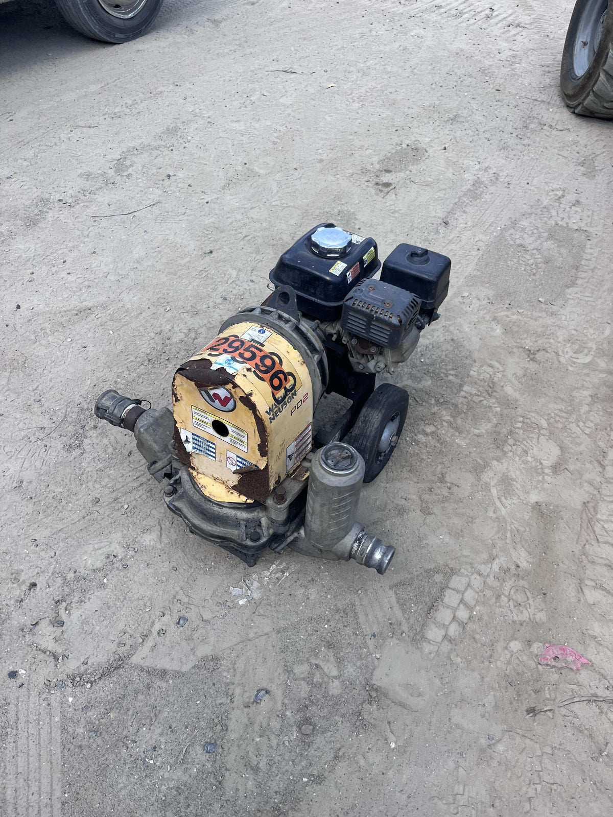 2019 WACKER NEUSON PDT2