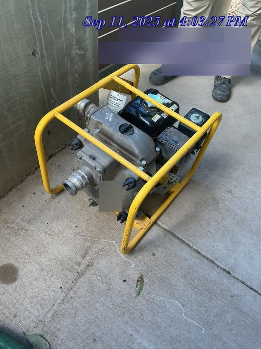 2019 WACKER NEUSON PT2