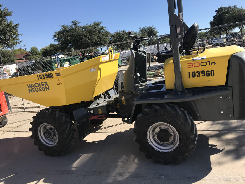 2020 WACKER NEUSON 3001
