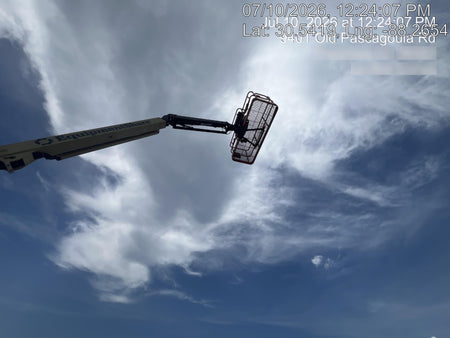 2025 JLG 460SJ