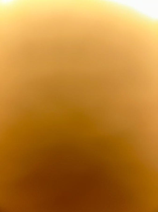 2023 MICHIGAN PNEUMATIC HV-15G-8P-ES-TRACKER