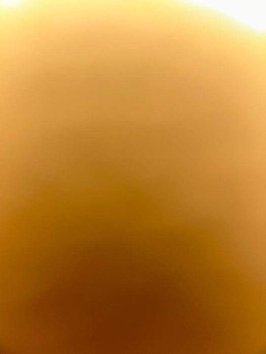 2023 MICHIGAN PNEUMATIC HV-15G-8P-ES-TRACKER