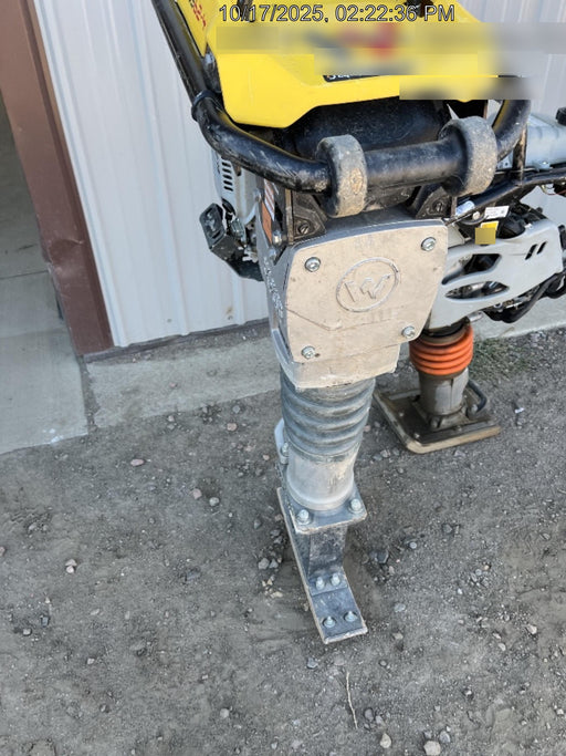 2025 WACKER NEUSON BS62-4Ab/28