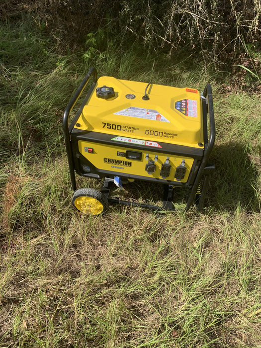 2021 CHAMPION POWER EQUIPMENT 201033C