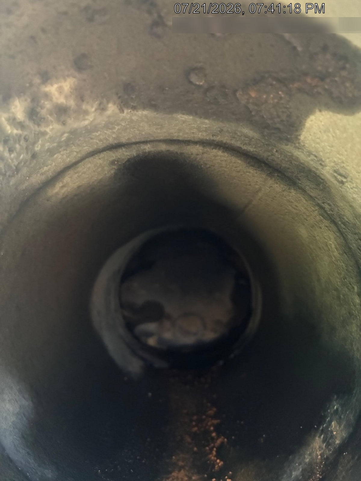 2021 PIONEER PP66S12L71-TD2.9L4
