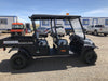 2019 CLUB CAR CA1700D (Canopy)
