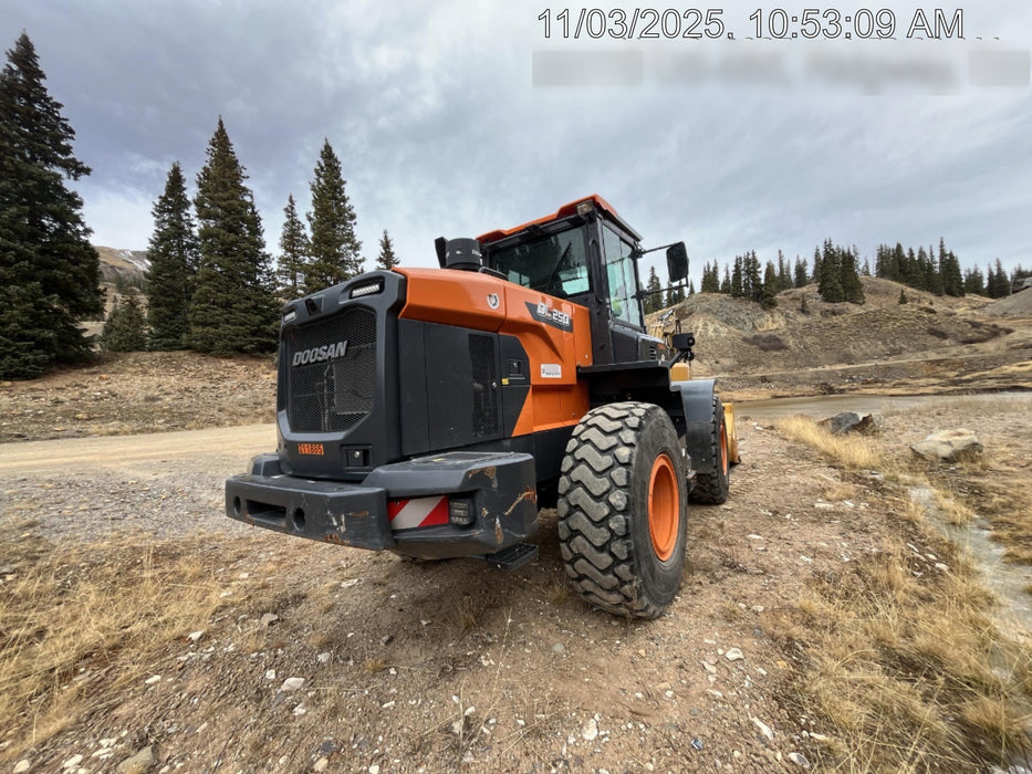 2021 DOOSAN DL250-5