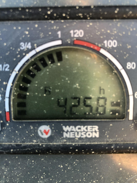 2020 WACKER NEUSON 3001