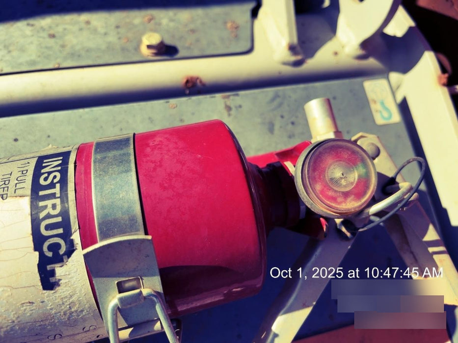 2019 TAKEUCHI TL10V2-R