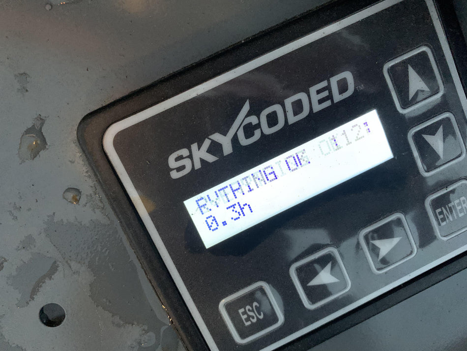2021 SKYJACK SJ3219