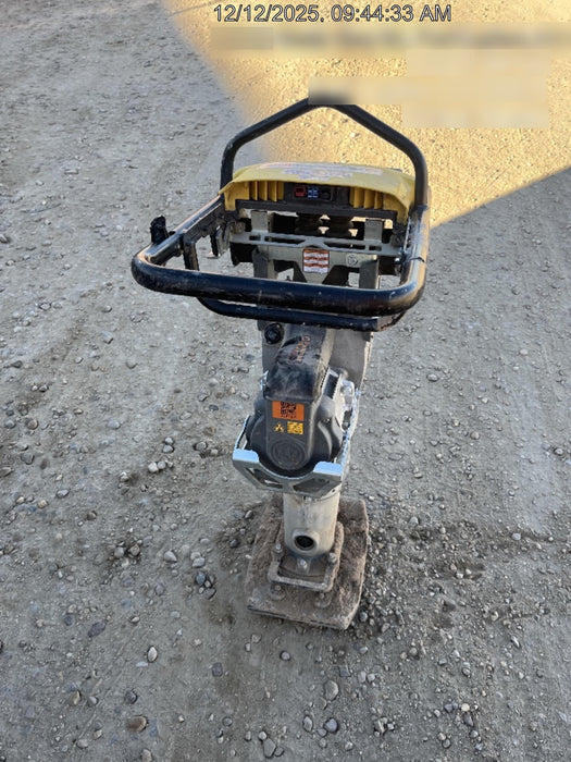 2024 WACKER NEUSON AS50E