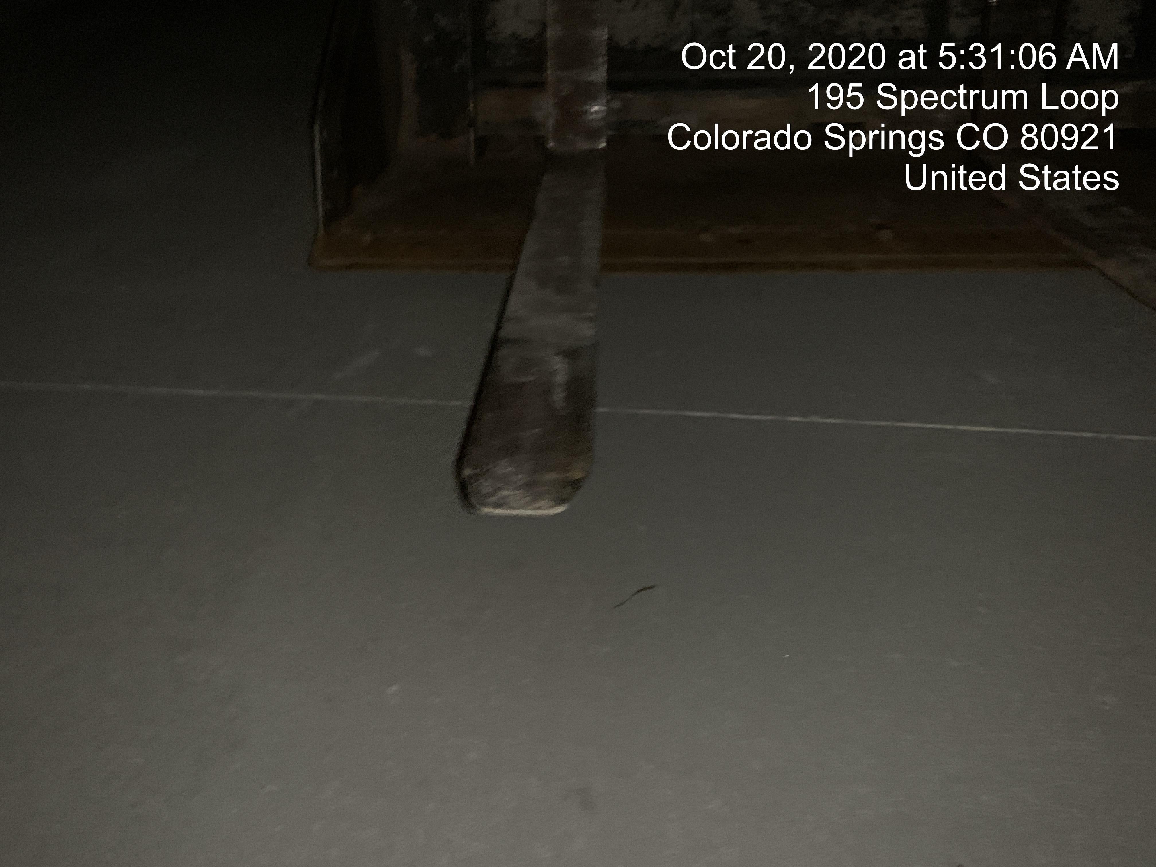 2019 PALADIN 48" Pallet Forks - Paladin