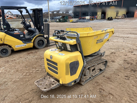 2019 WACKER NEUSON DT10
