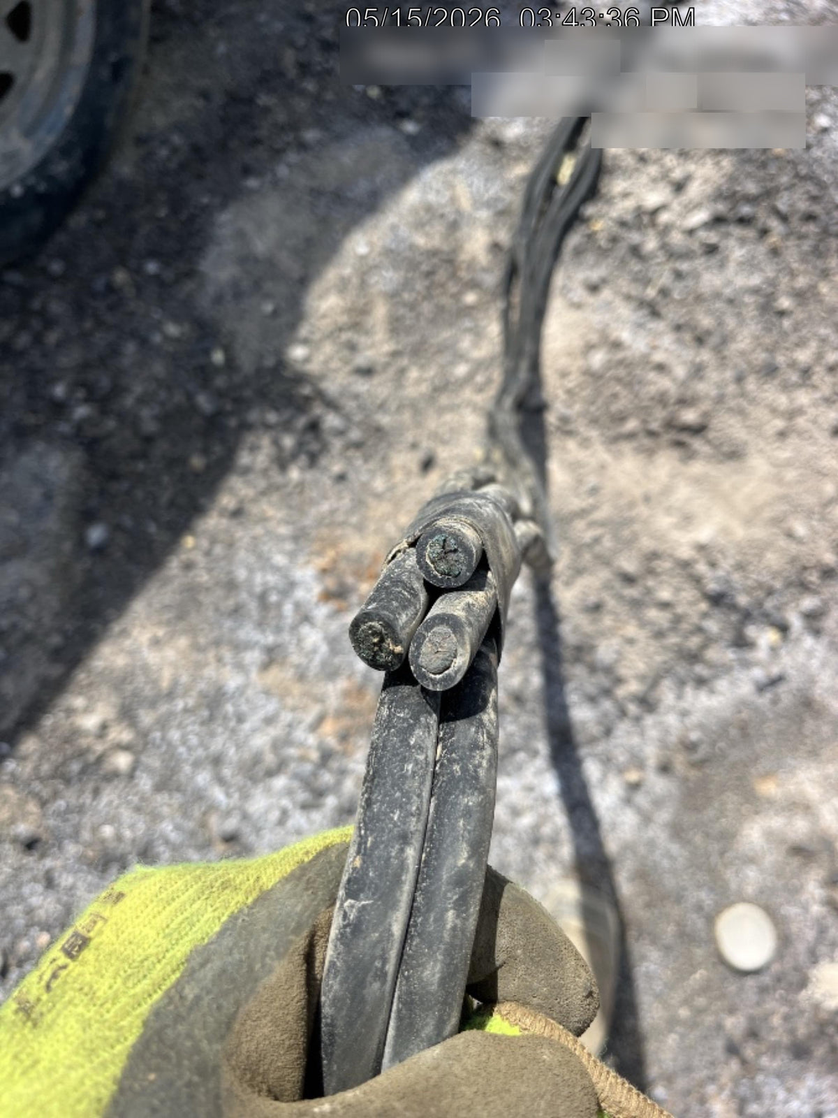 2019 WACKER NEUSON G25