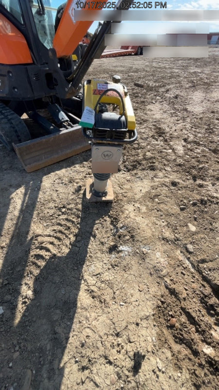 2024 WACKER NEUSON BS50-4As