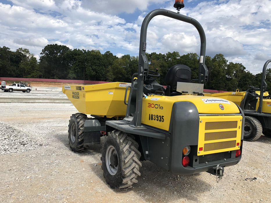 2020 WACKER NEUSON 3001