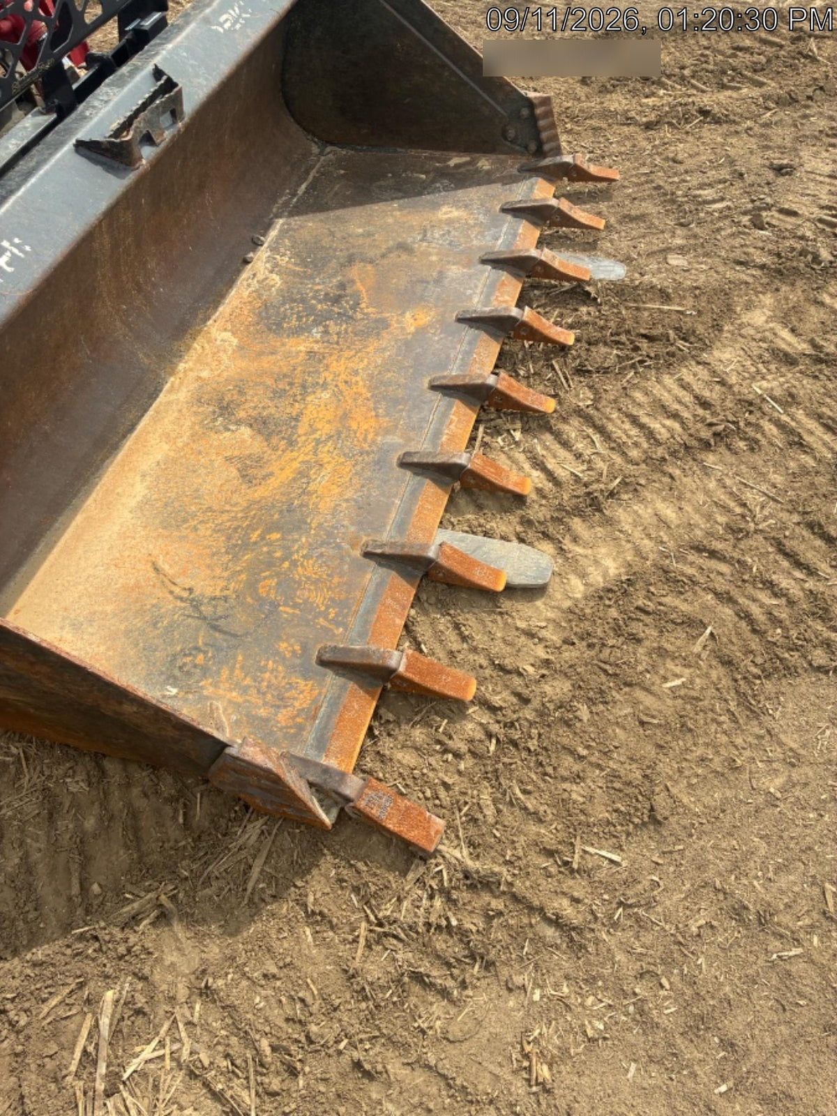 2026 PALADIN 48" Pallet Forks - Paladin