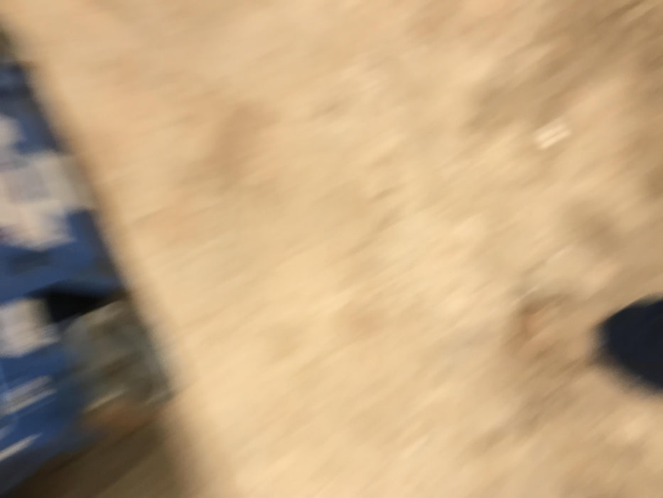 2019 Genie GS-1930 Fixed rails with chain Entry