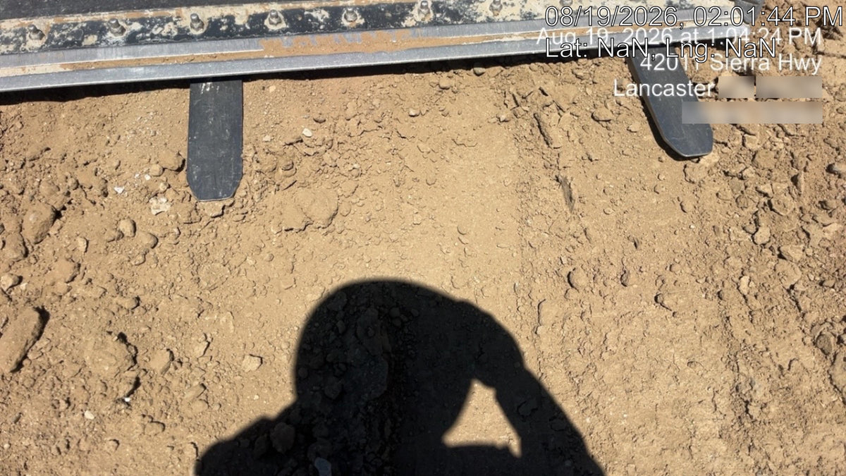 2021 PALADIN 48" Pallet Forks - Paladin
