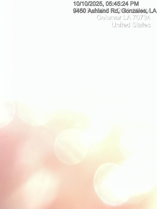 2022 HARRINGTON CF015-20