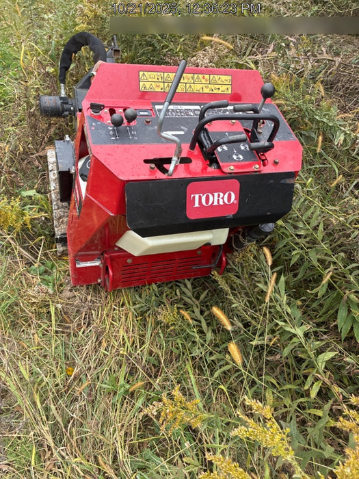 2021 TORO TRX-250